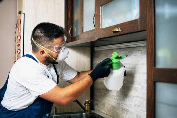 Best Commercial Pest Control Services  in Allison, IA