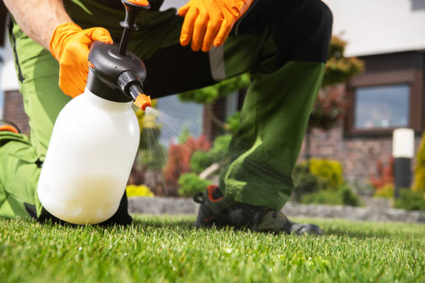 Best Wildlife Control Services  in Allison, IA