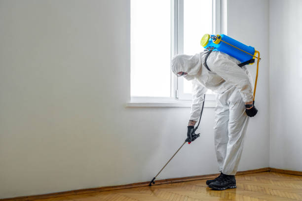 Best Pest Prevention Services  in Allison, IA