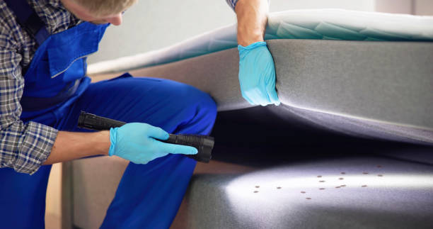 Best Pest Inspection Near Me  in Allison, IA