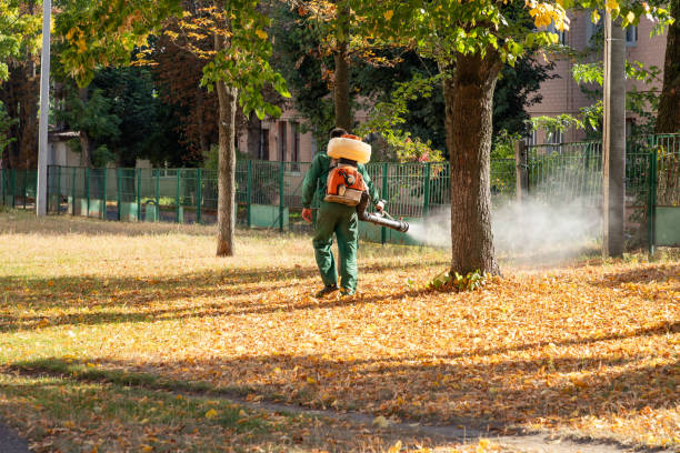 Best Termite Control Services  in Allison, IA