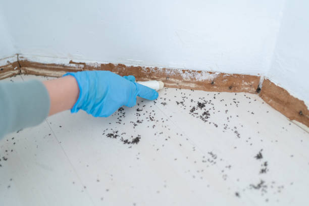 Allison, IA Pest Control Company